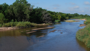 Stream in Sedgwick County