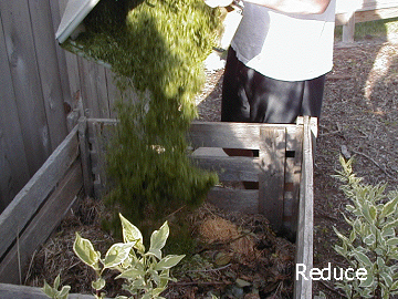 Compost Pile