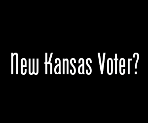 Got Voter ID?