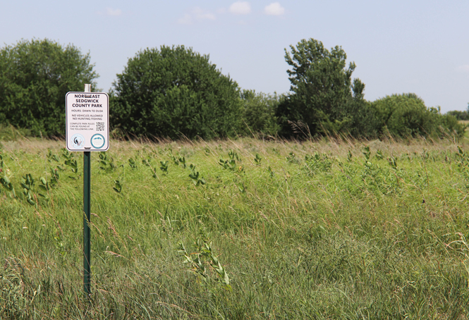 Sedgwick County Horse Tragedy Is Your Horse At Risk - qaathwu
