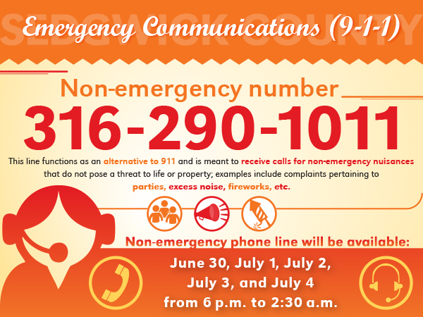 Non Emergency Number