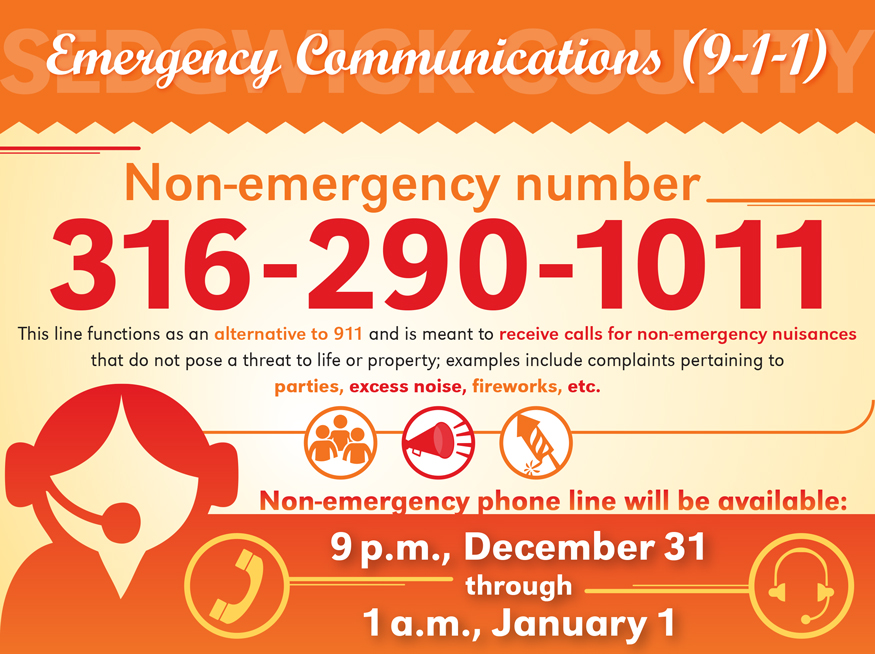 Non-Emergency Number