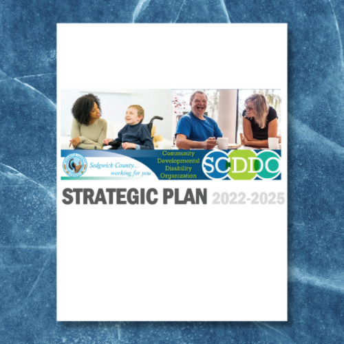 SCDDO Strategic Plan Report 2022-2025