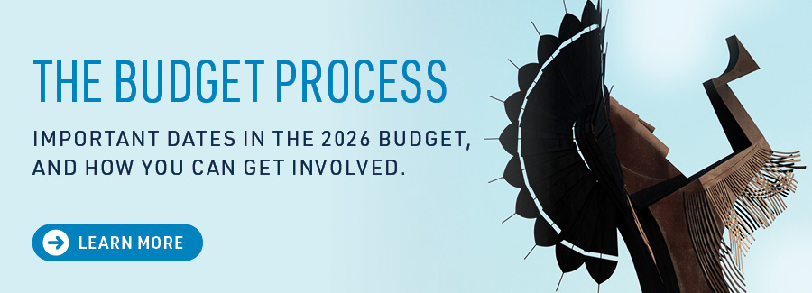 The Budget Process
