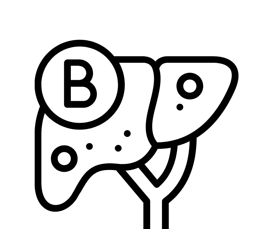 Hepatitis B icon