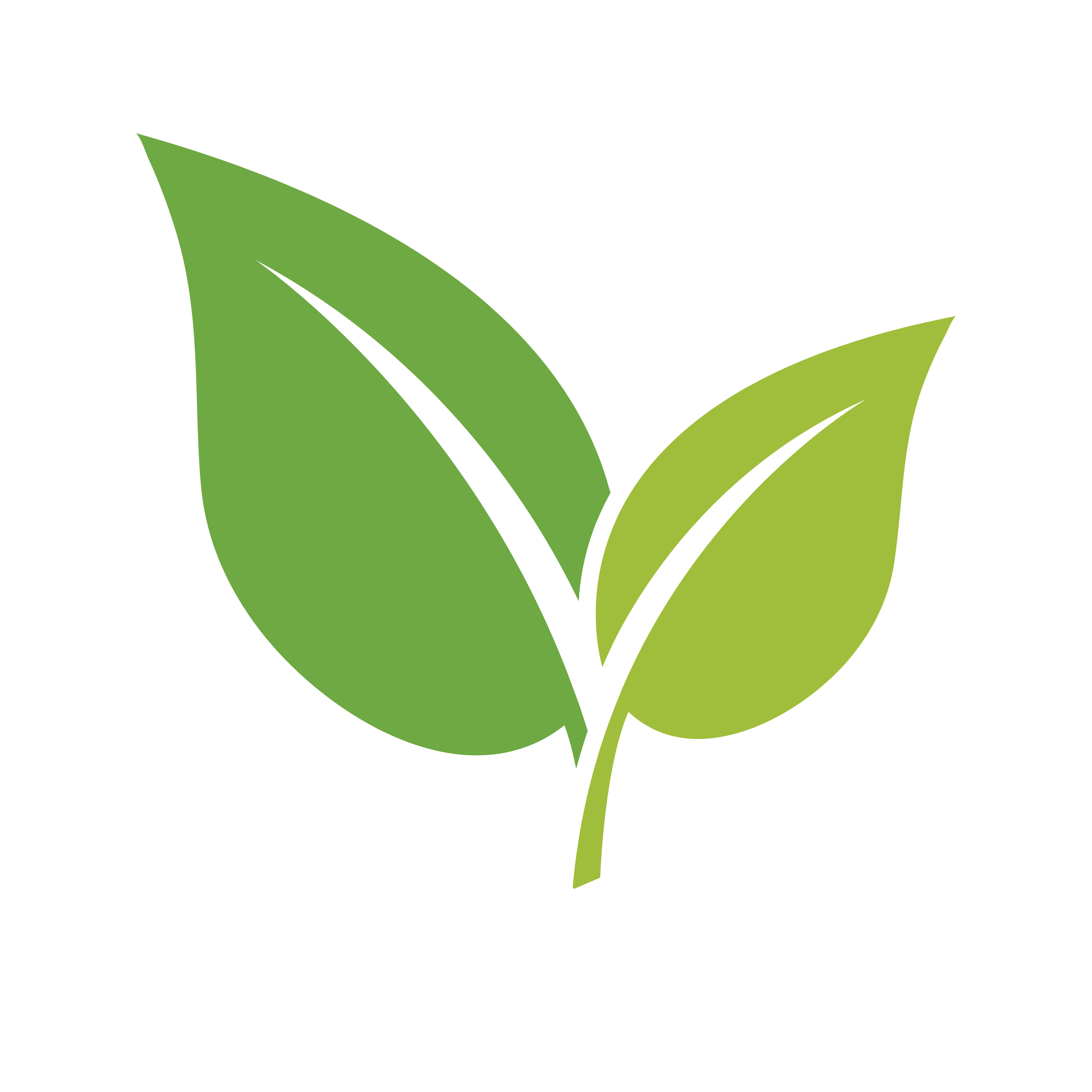 CHIP icon - two leaves