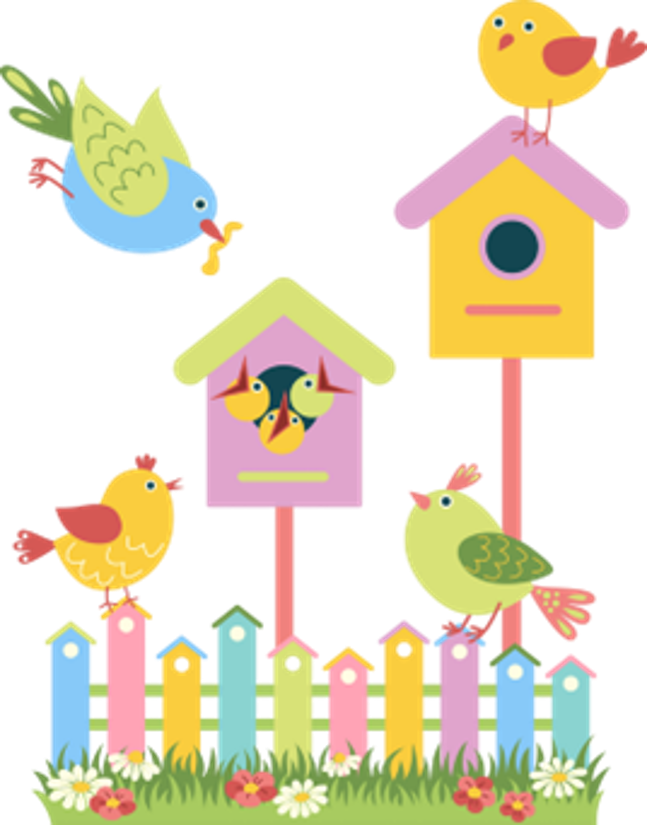 Birds and bird houses