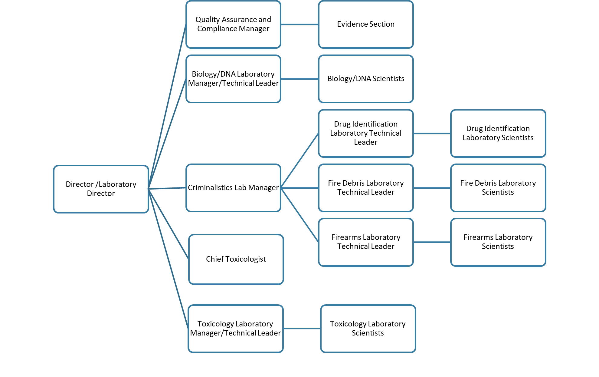 Organizational chart with four layers of staff