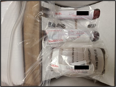 : DFSA Kit specimens properly packaged inside a plastic container within the kit box.