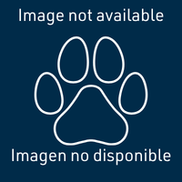 A189950 - Mother Cat, A189953, A189955, A189957 - Three Kittens